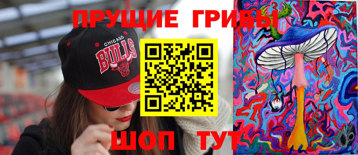 где можно купить наркотик  Псилоцибиновые грибы мухоморы  Вход с VPN  Ессентуки 
